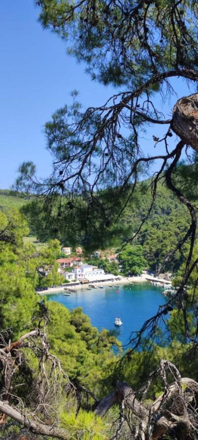 Skopelos Country House Diamantis & Chrisi Agnontas エクステリア 写真