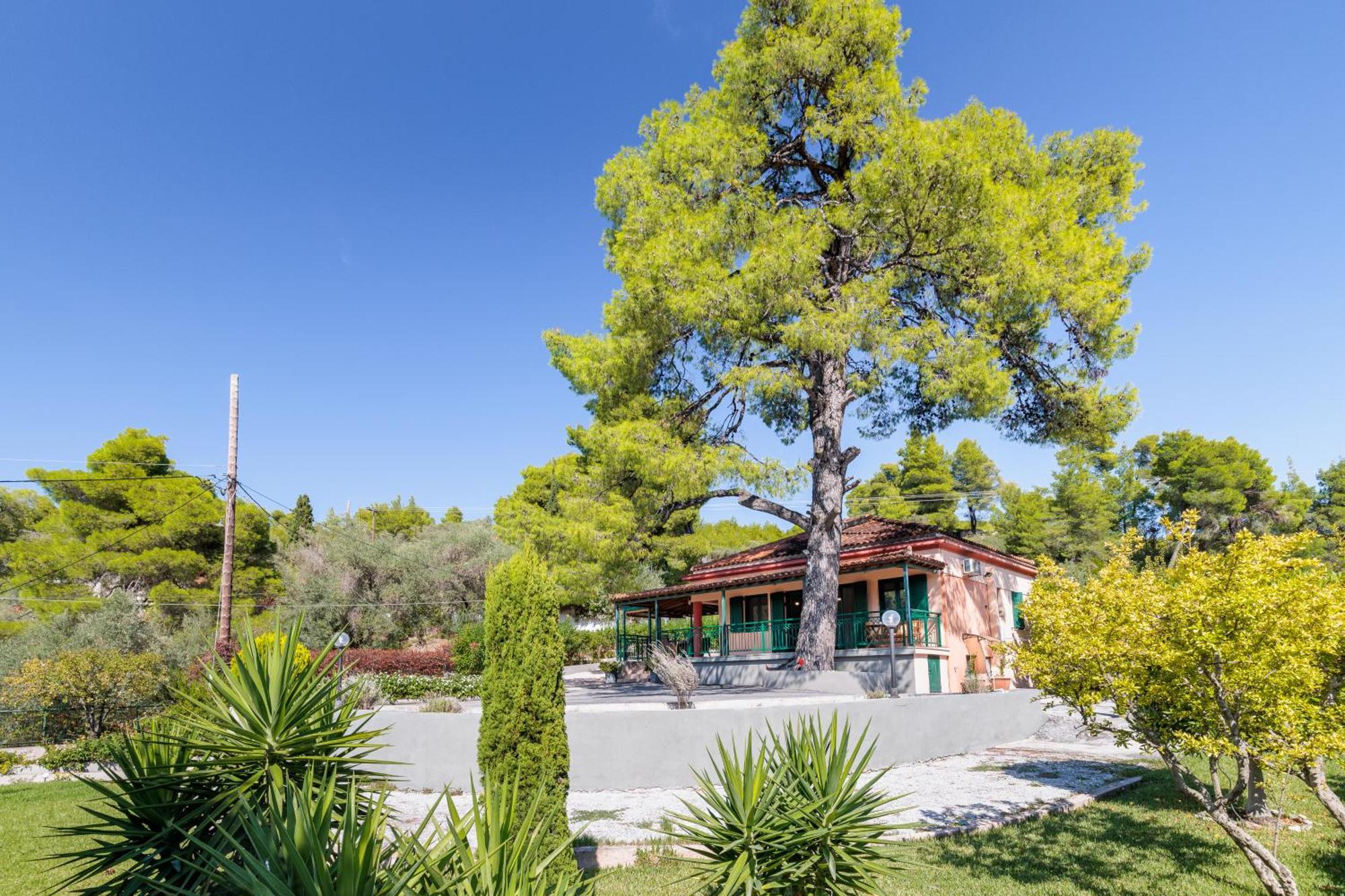 Skopelos Country House Diamantis & Chrisi Agnontas エクステリア 写真